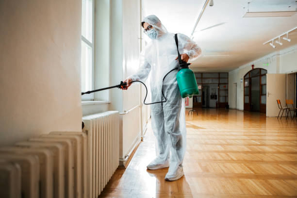 Best Real Estate Pest Inspections  in North Springfield, VA